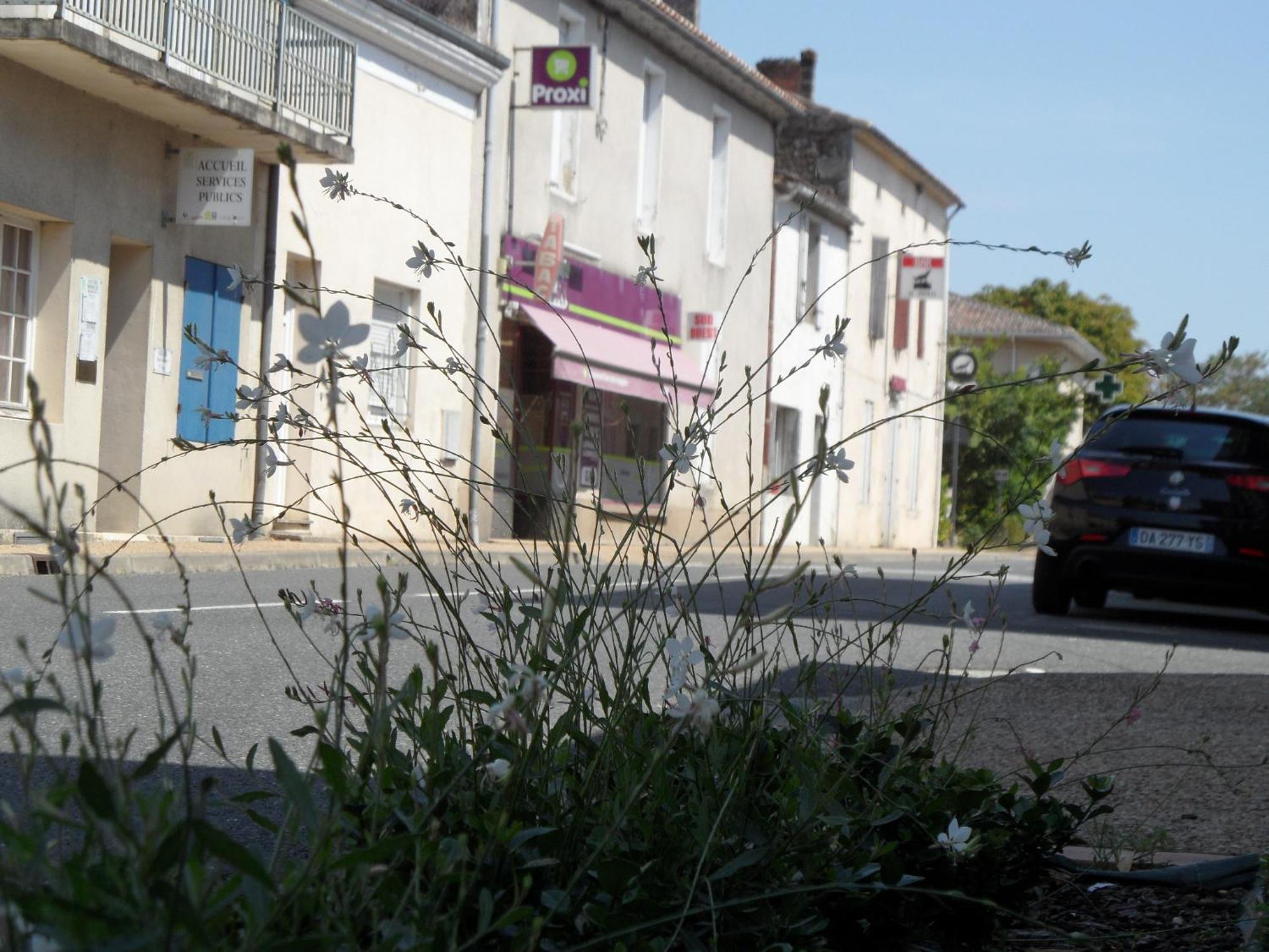 U Campana Panzió Auros Kültér fotó